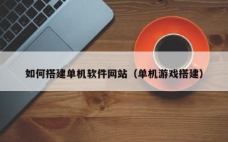 南京如何搭建单机软件网站（单机游戏搭建）