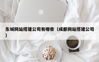 南京东城网站搭建公司有哪些（成都网站搭建公司）